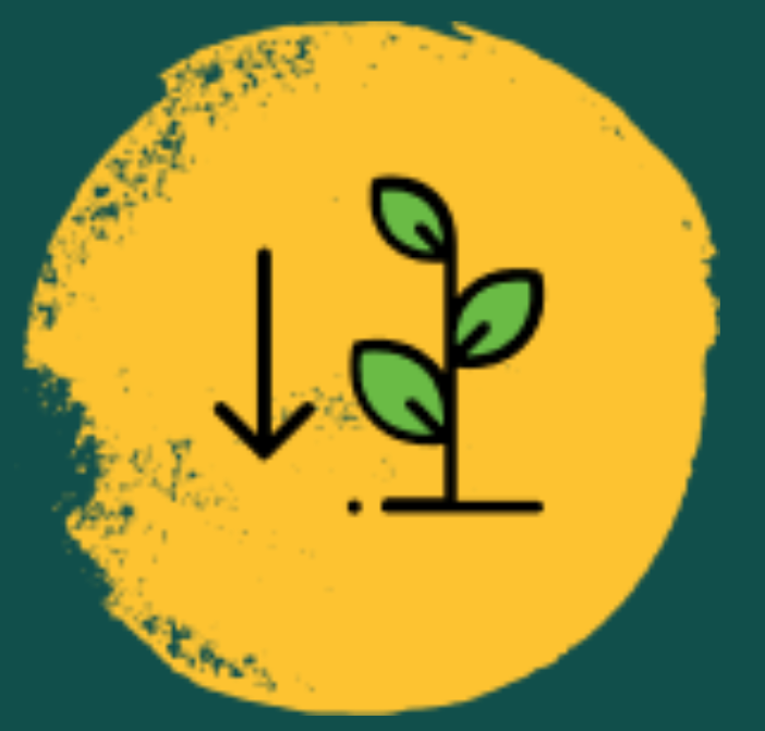 Low Agriculture Productivity